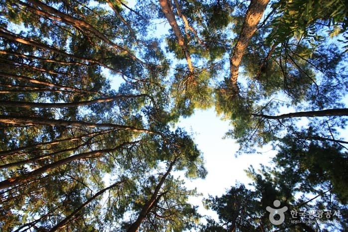 전라북도_정읍시_충렬사(정읍)_048