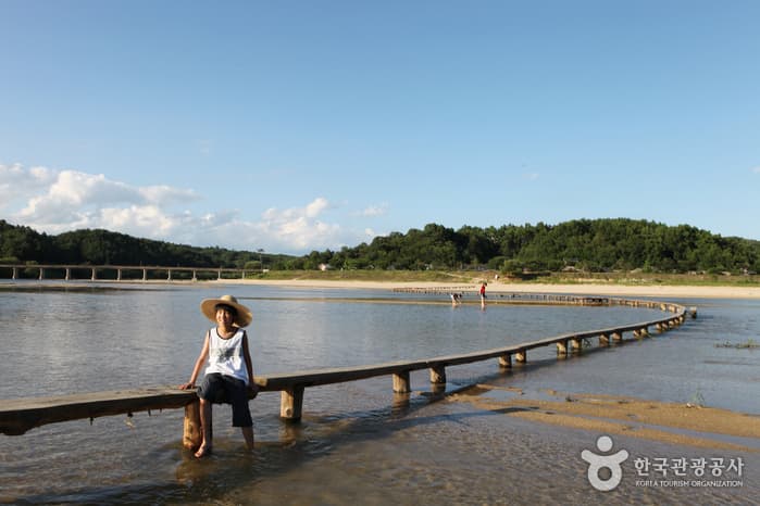 Museom Single-Log Bridge Festival (무섬외나무다리축제)