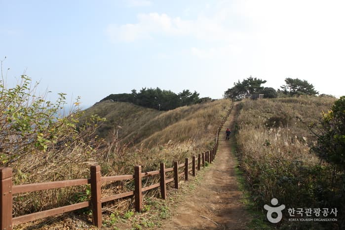 1311경북_울릉_관음도7