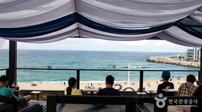 강릉커피거리_02