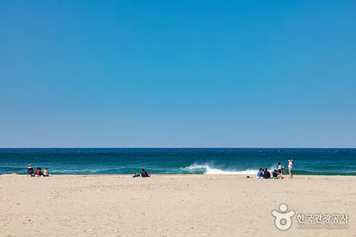 하조대해수욕장 14