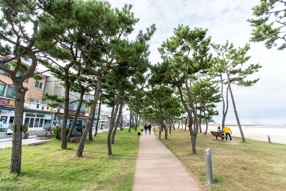 낙산해수욕장_10