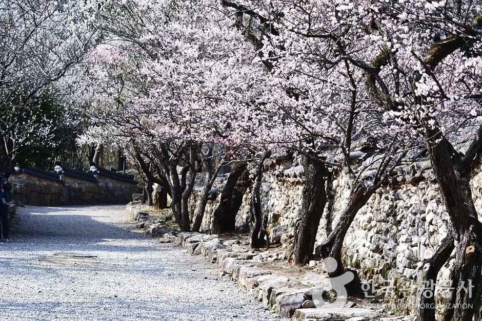 조계산도립공원 (20)