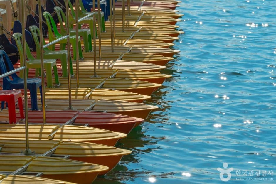 마장호수 출렁다리