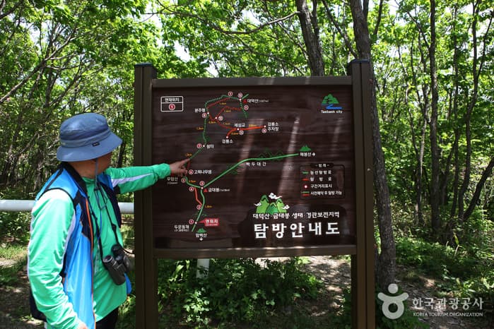 강원_정선_금대봉트레킹02