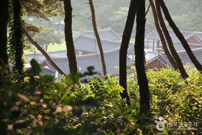 충남_서천_색다른 서천의 밤, 문헌서원 달빛기행09
