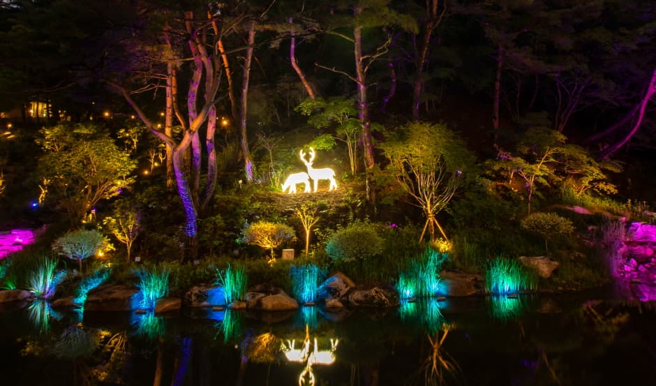 리솜포레스트제천8