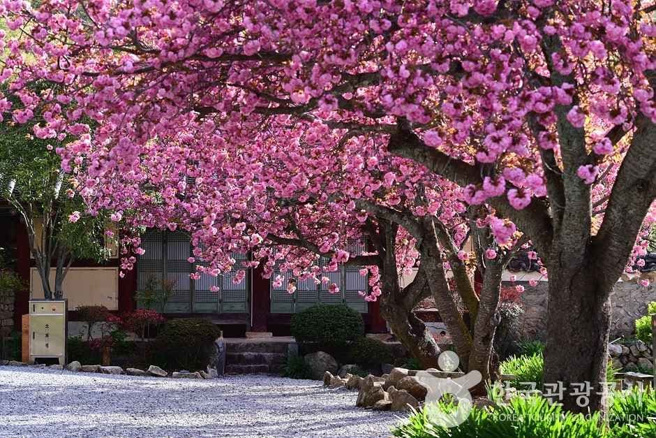 조계산도립공원 (21)