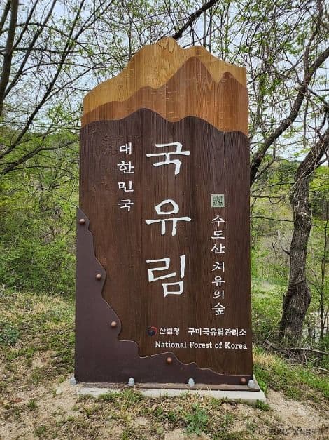 김천_국립김천치유의숲 (1)