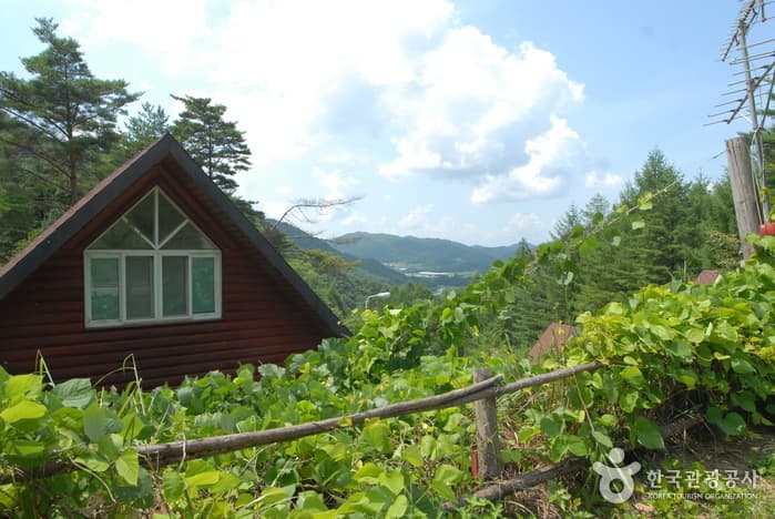 주천강휴양림_07