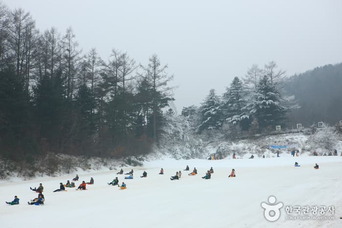 양평 한화리조트 눈썰매장_33