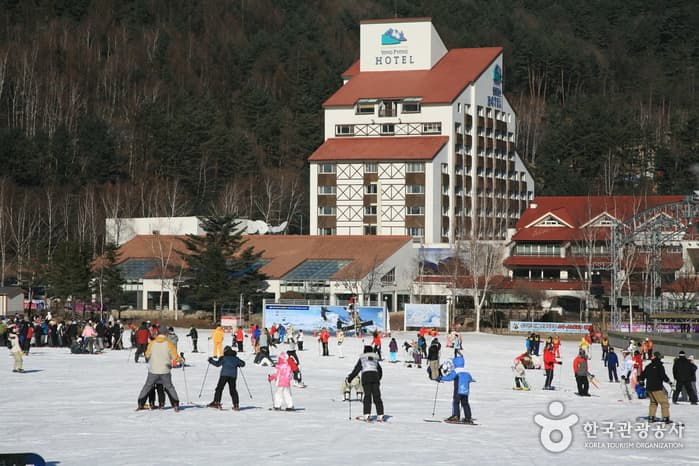 용평리조트_슬로프03