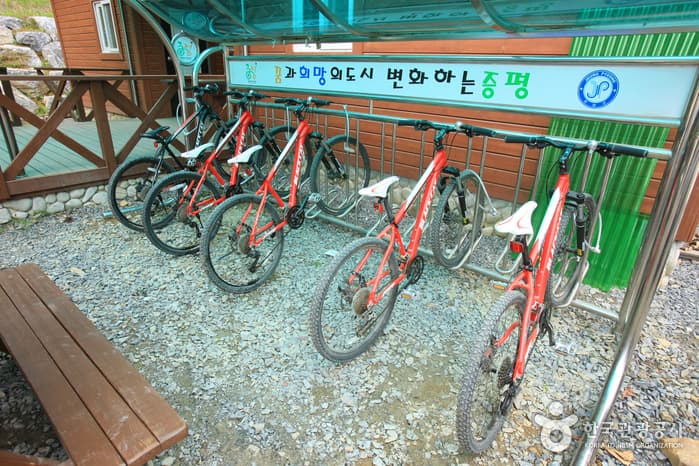 좌구산 자연휴양림 산림욕장_75