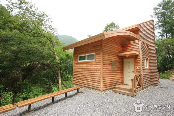 좌구산 자연휴양림 산림욕장_97