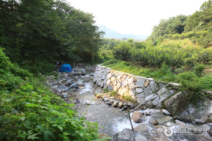 달천계곡_01