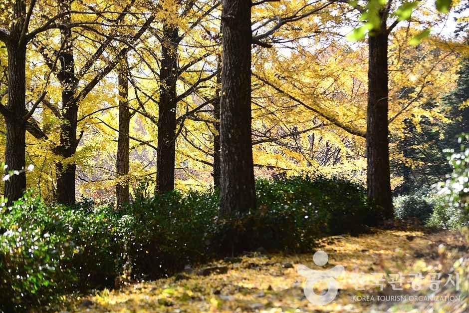 조계산도립공원 (22)