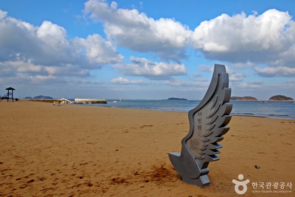 왜목해수욕장 (11)