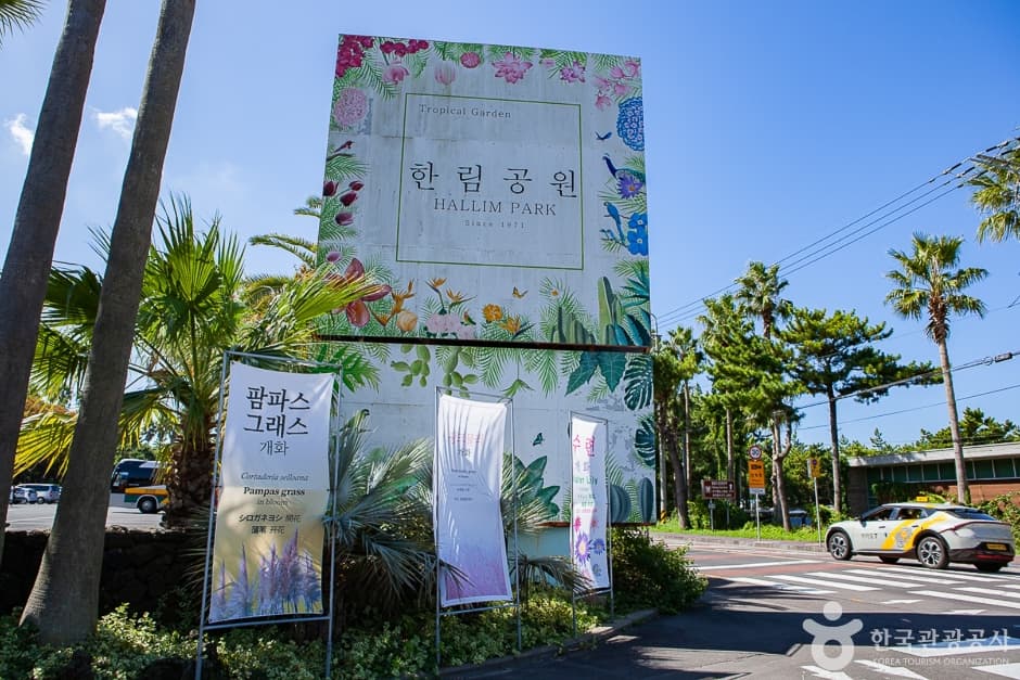 협재굴(한림공원) (1)