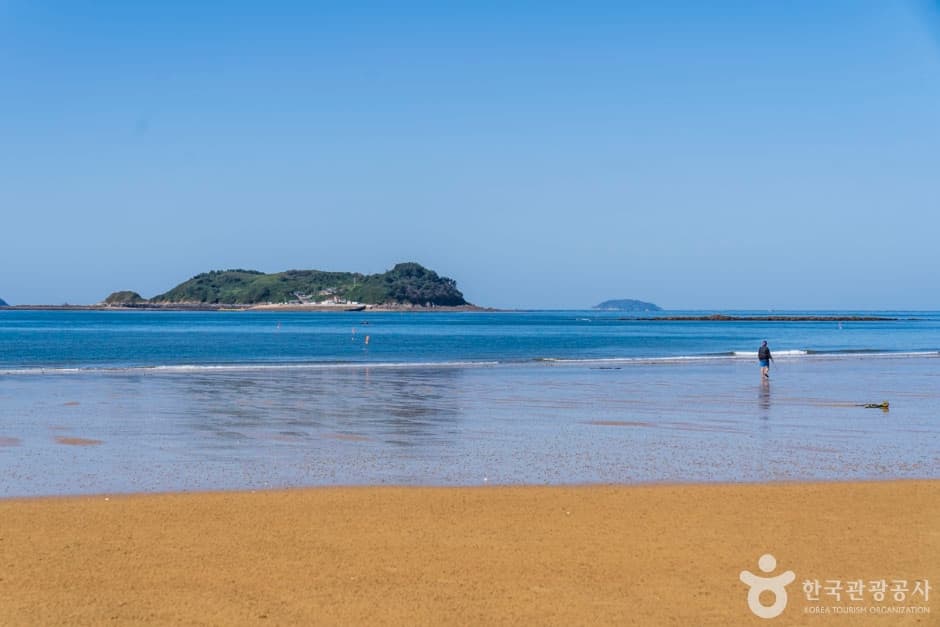 샛별해수욕장 (6)