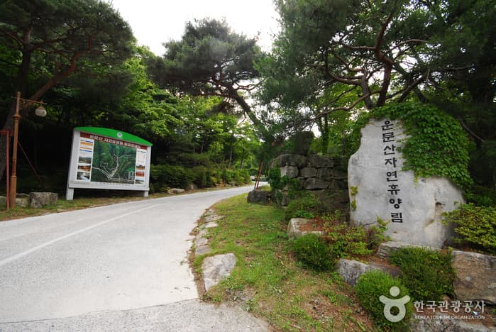 운문산자연휴양림_07