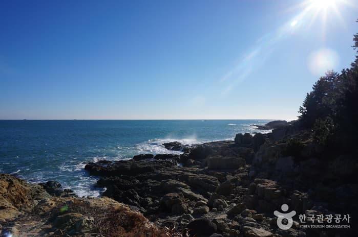 부산_이기대 22