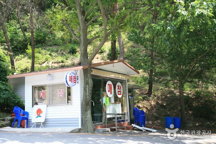 남원자연휴양림(남원리조트)_08