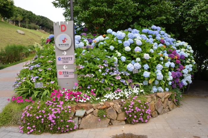 장사도해상공원_(9)