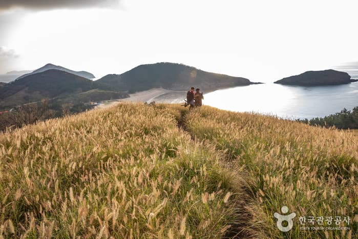 Gureopdo Island (굴업도)