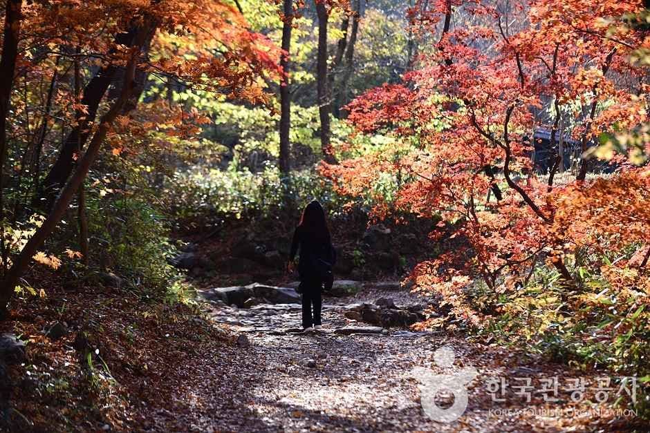 조계산도립공원 (23)