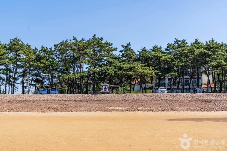 샛별해수욕장 (7)