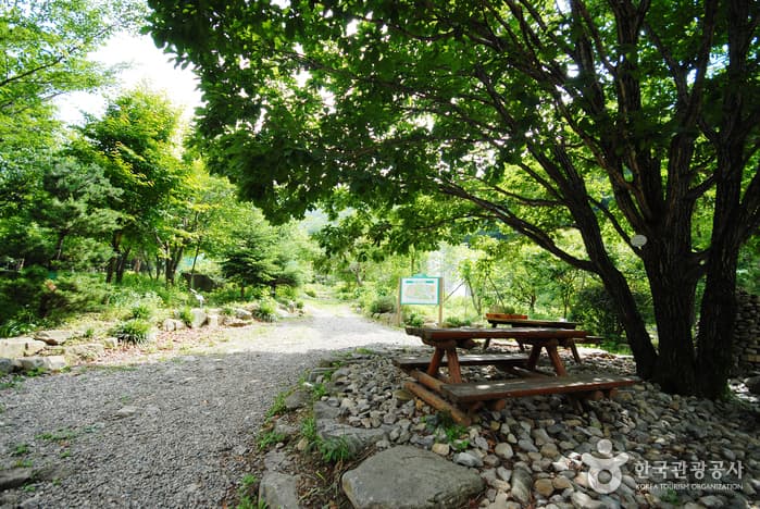 운문산자연휴양림_08