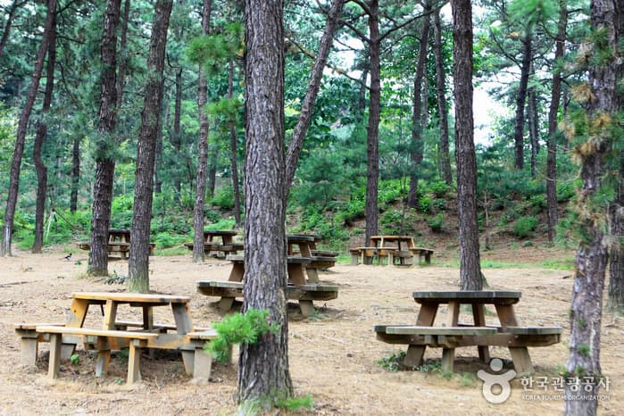 물향기수목원29