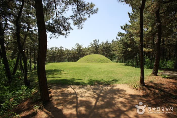 전라북도_익산시_익산 쌍릉_048