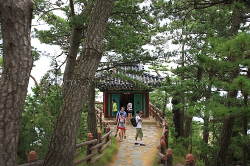 강원도_삼척시_삼척 해신당공원_009