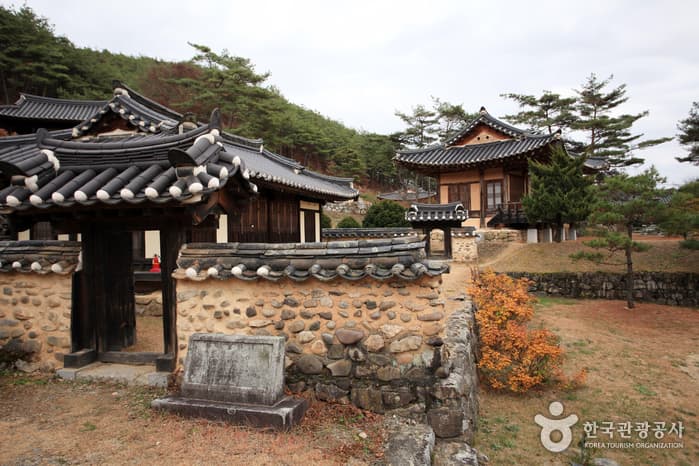 경북_안동 군자마을05