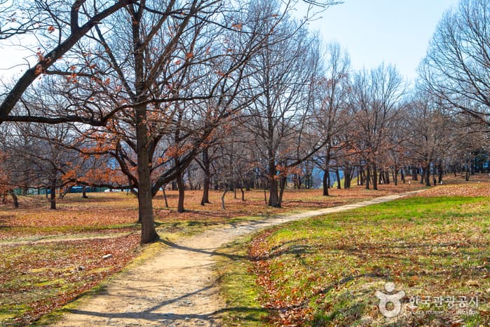 경주 월성(반월성)
