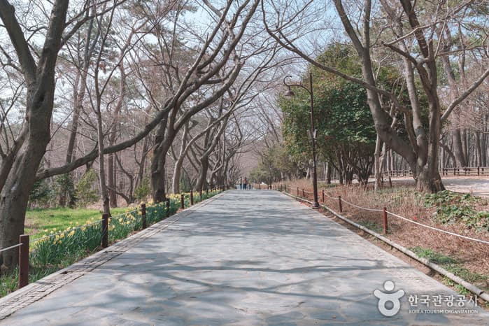 전국_냥 집사 전격 소환! 이색 고양이 여행지, 나만 없어! 야옹이! 지친 마음 위로 받는 길냥이와의 하루 08