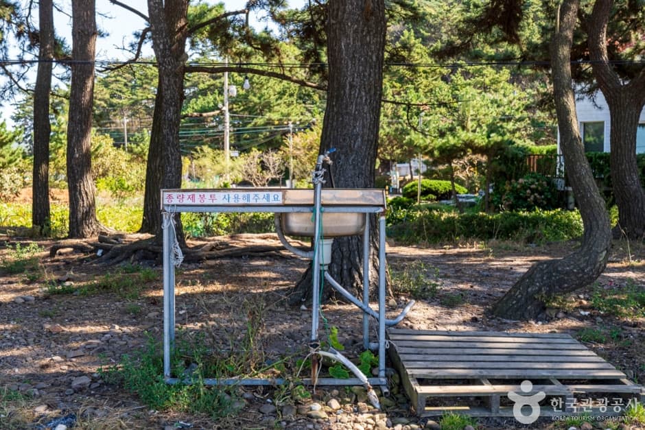 샛별해수욕장 (10)