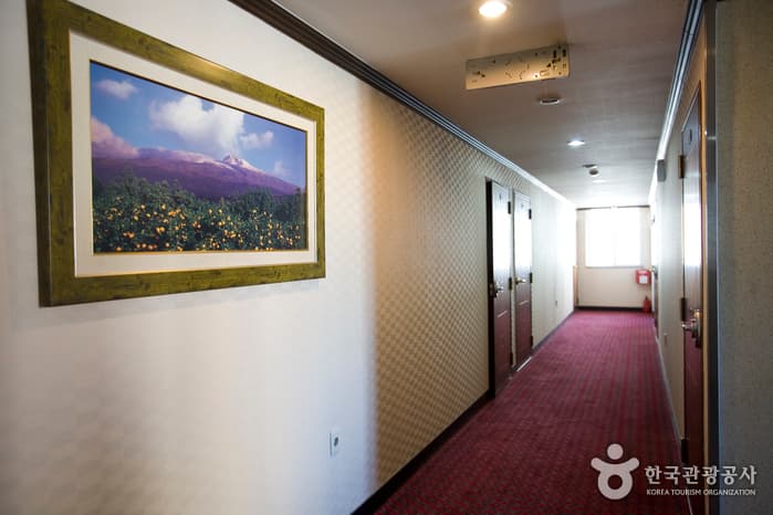 제주도_제주시_늘송파크텔_복도