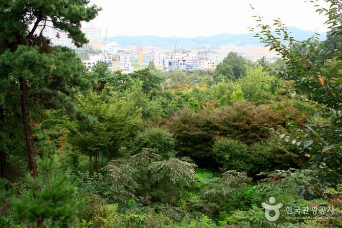 물향기수목원30