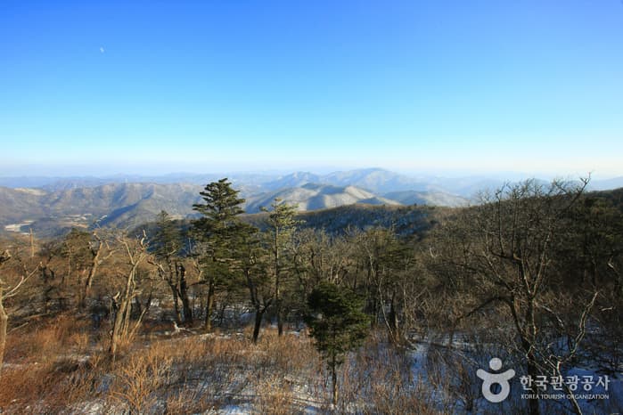 용평리조트 스키장_054