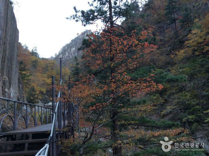 강원_인제_설악산천불동계곡04