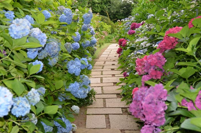 장사도해상공원_(10)