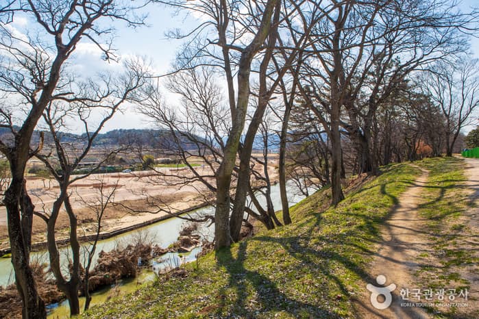 경주 월성(반월성)