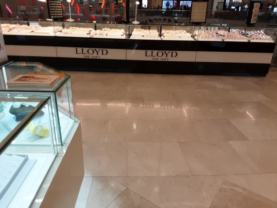 Ej Lloyd - Lotte Gwangbok Branch [Tax Refund Shop] (EJ 로이드 롯데광복)