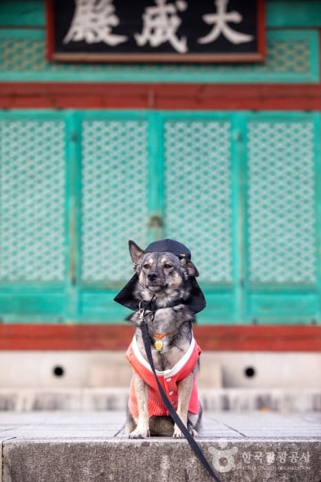 전주한옥마을7-2