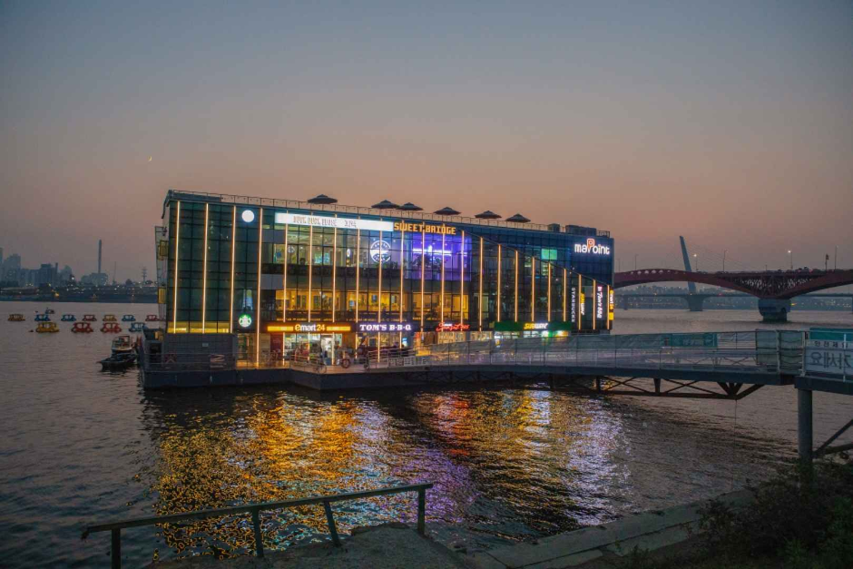 한강시민공원 망원지구(망원한강공원) (6)