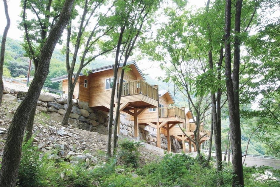 국립칠곡숲체원 (5)_숲속의집 전경
