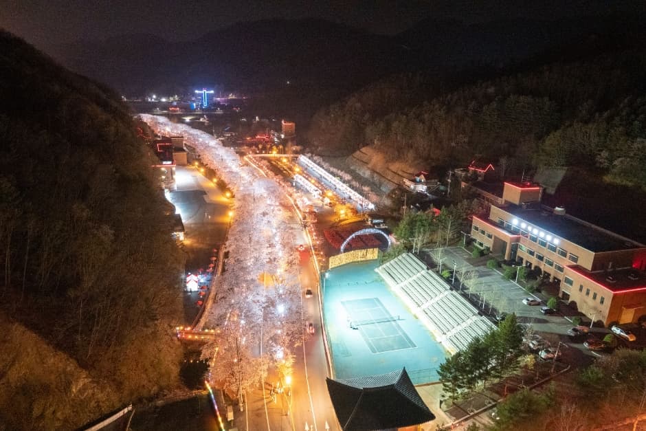 2024 에덴벚꽃길 벚꽃축제 7