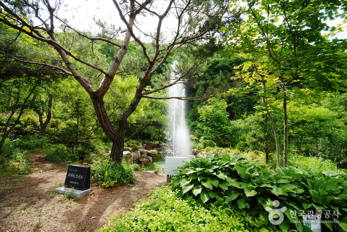 운문산자연휴양림_09